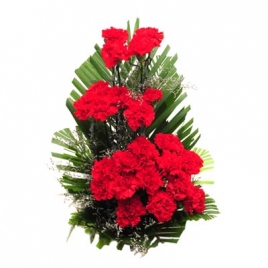 20 Red Carnations